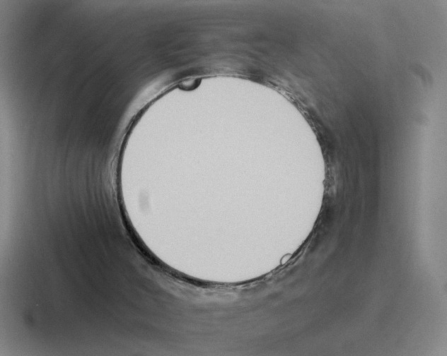 X0000116430004201001051154