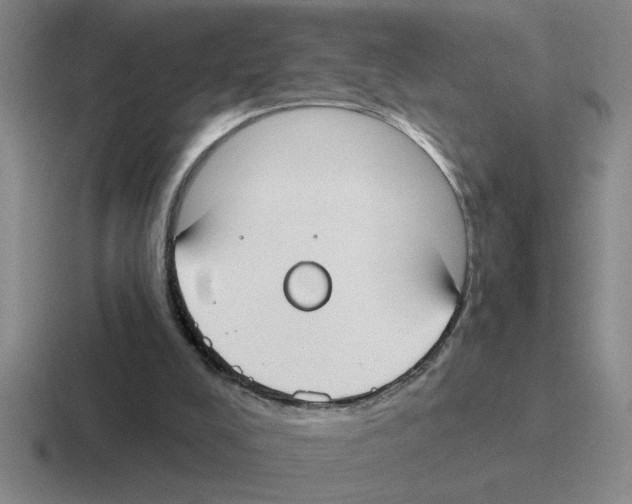 X0000116430008201001051154