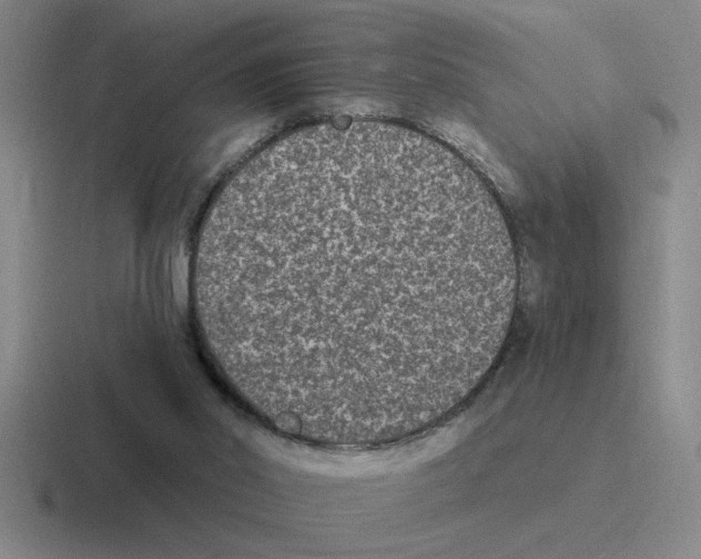 X0000116430014201001051154