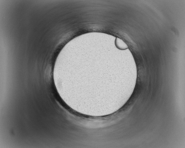 X0000116430024201001051154
