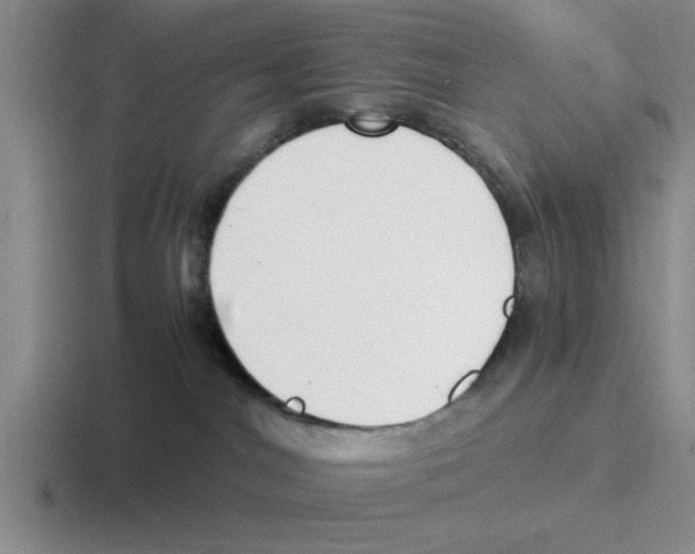 X0000116430044201001051154