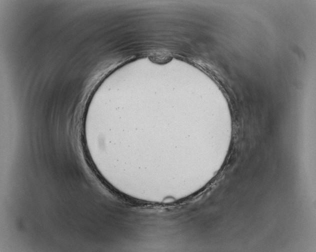 X0000116430049201001051153