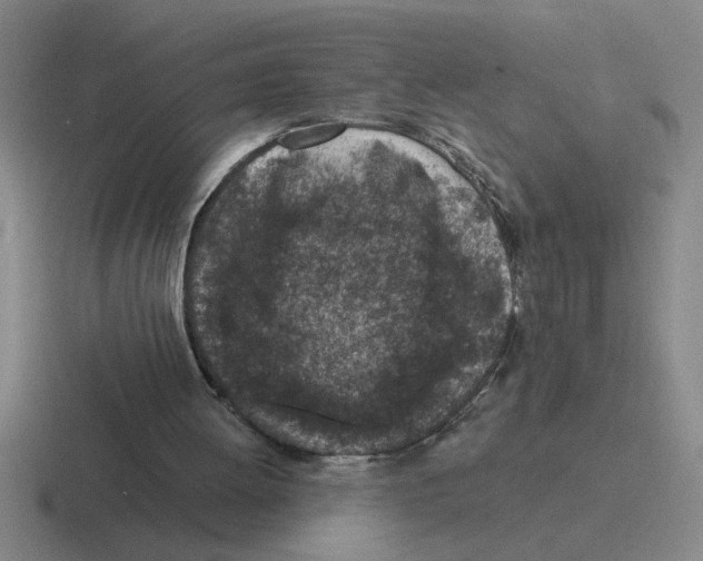 X0000116430052201001051153