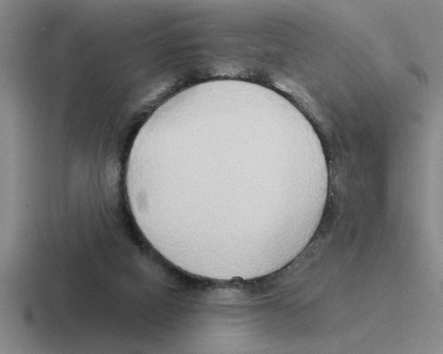 X0000116430066201001051153