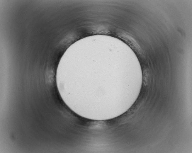 X0000116430077201001051153