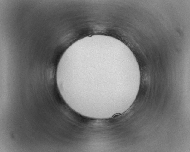 X0000116430082201001051153
