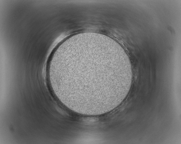 X0000116430102201001051153