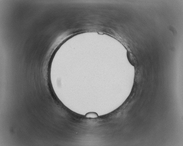 X0000116430103201001051153