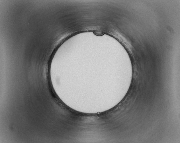 X0000116430107201001051153