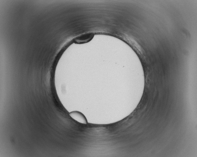 X0000116430108201001051153