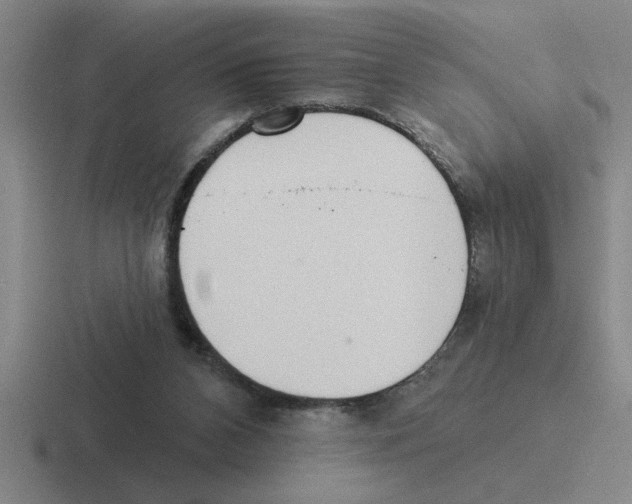 X0000116430112201001051153