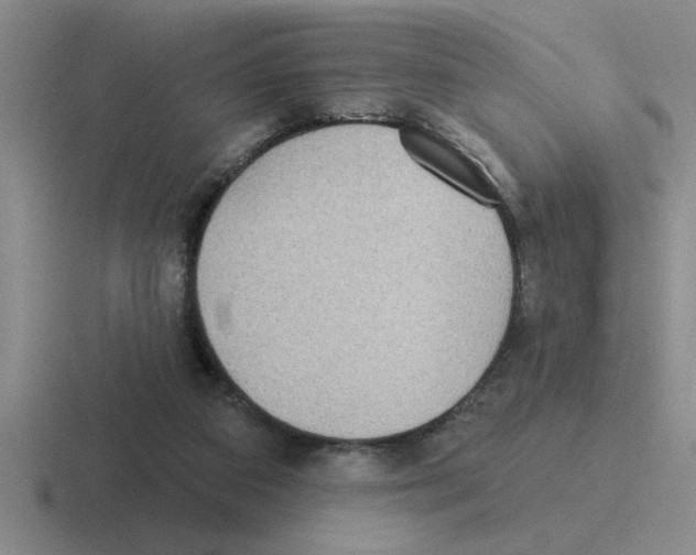 X0000116430113201001051153