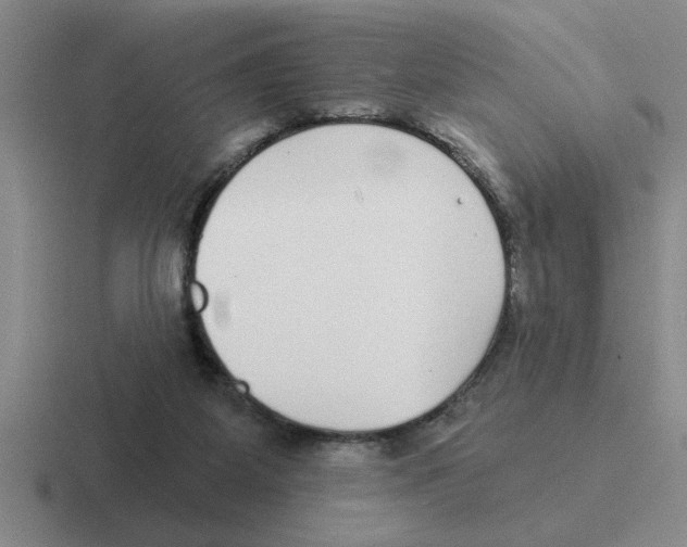 X0000116430115201001051153