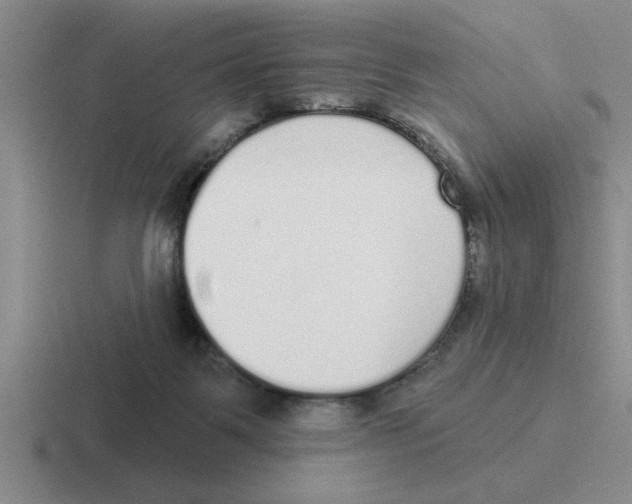 X0000116430123201001051153