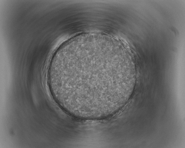 X0000116430145201001051152