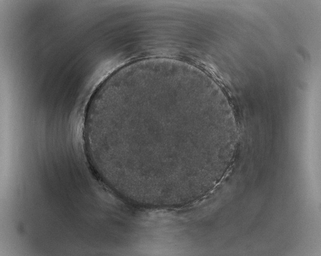 X0000116430146201001051152