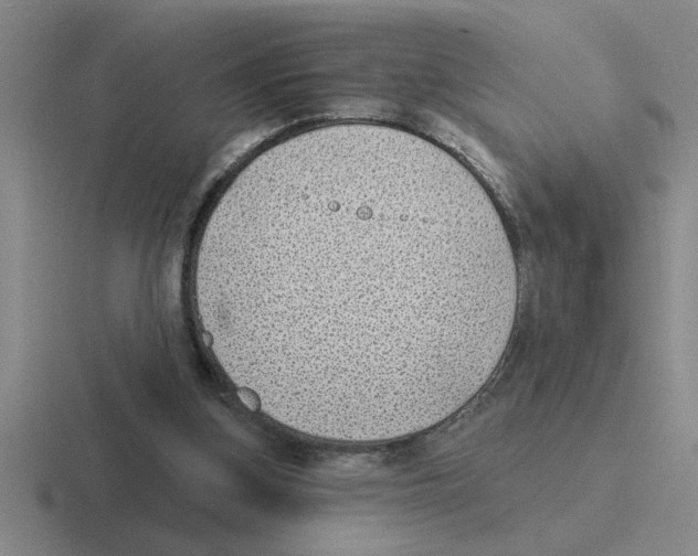 X0000116430155201001051152