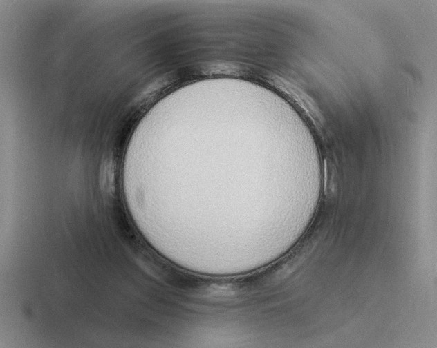 X0000116430157201001051152