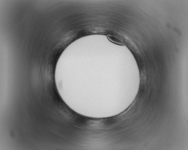 X0000116430170201001051152