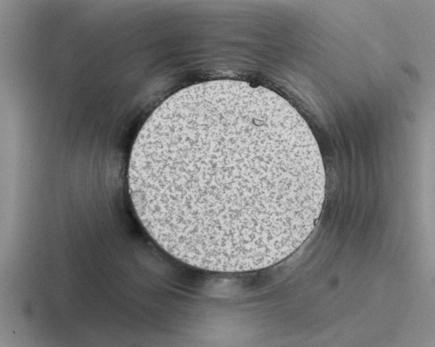 X0000116430174201001051152