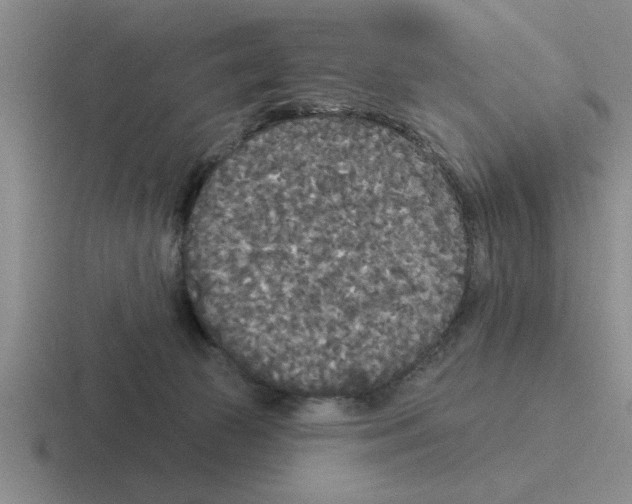 X0000116430177201001051152