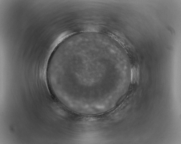 X0000116430195201001051152