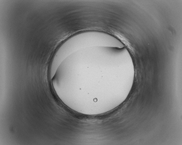 X0000116430201201001051152