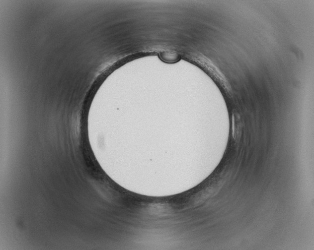 X0000116430204201001051152