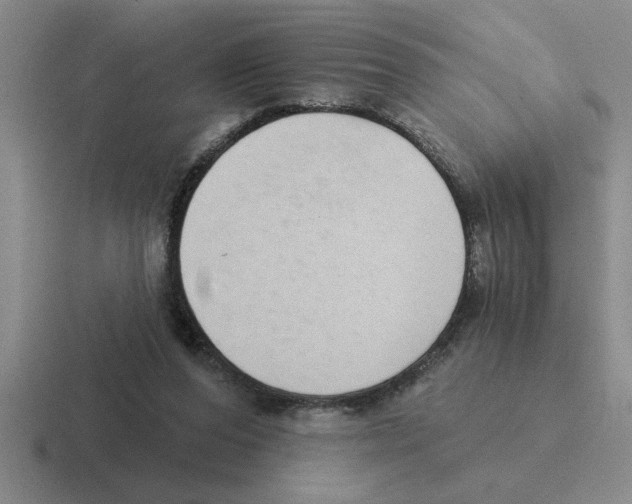 X0000116430208201001051152