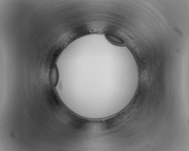 X0000116430209201001051152