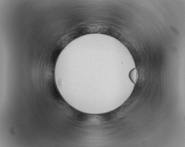 X0000116430226201001051151