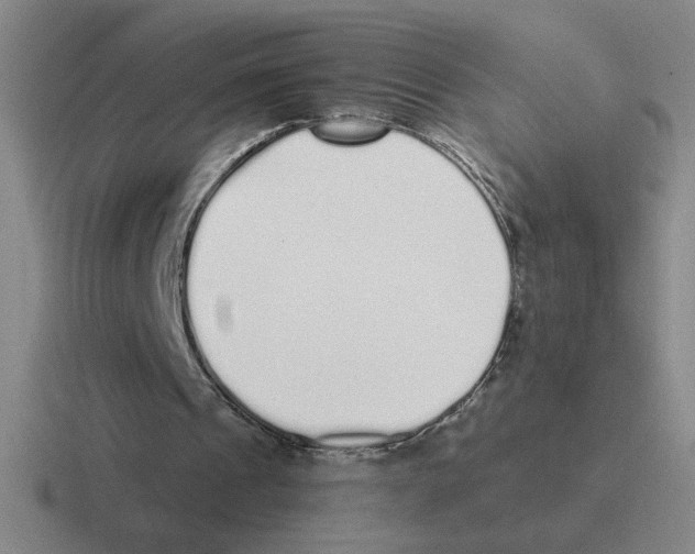 X0000116430241201001051151