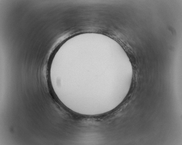 X0000116430244201001051151