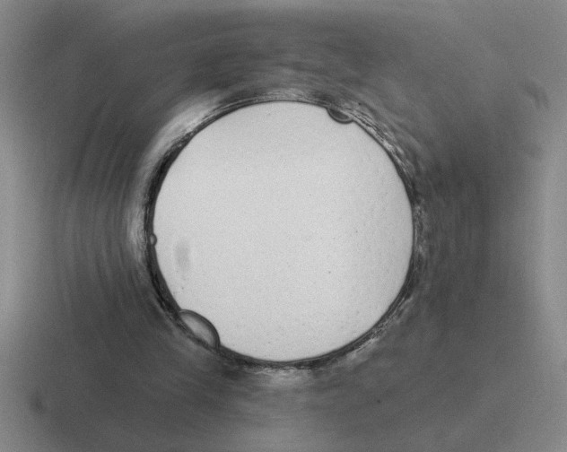 X0000116430245201001051151