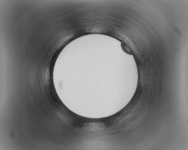 X0000116430251201001051151