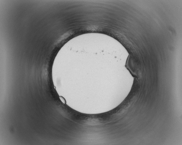 X0000116430256201001051151