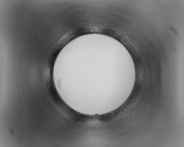 X0000116430262201001051151