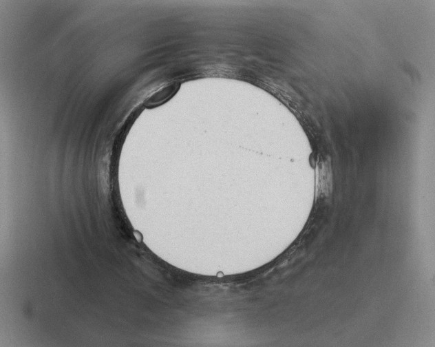 X0000116430291201001051151