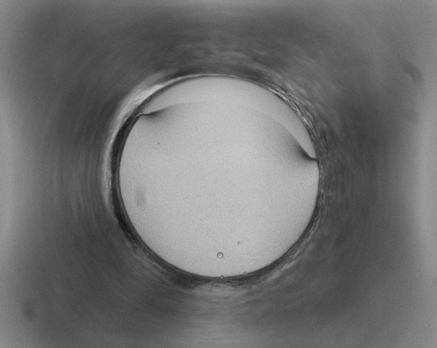 X0000116430294201001051151