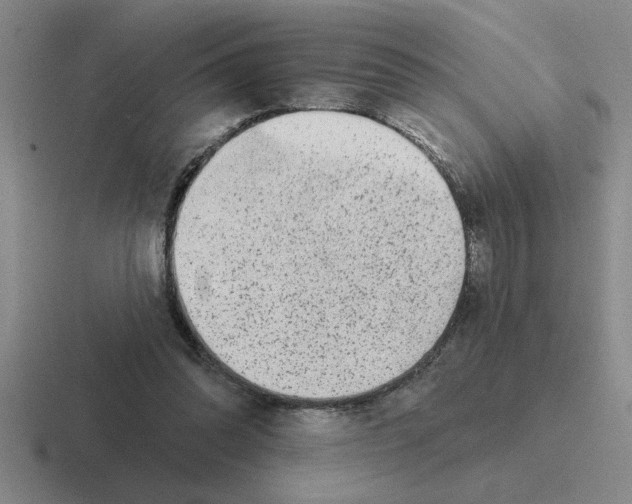 X0000116430302201001051150