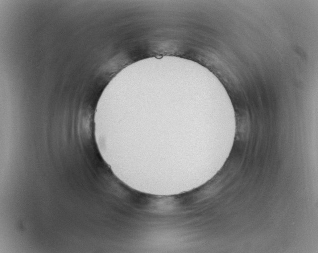X0000116430334201001051150