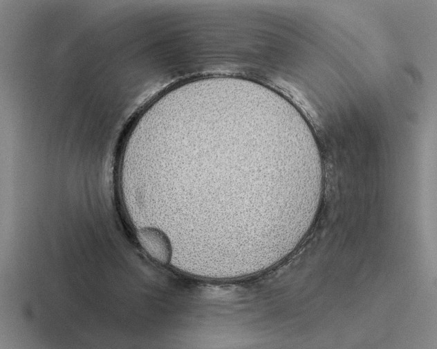 X0000116430346201001051150
