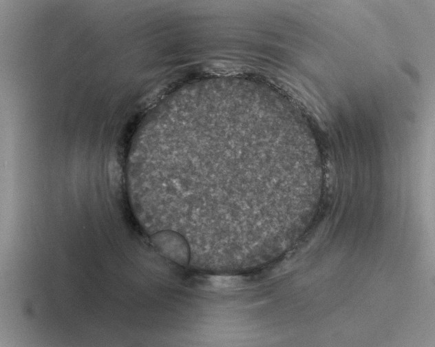 X0000116430371201001051150