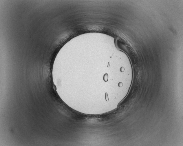 X0000116430407201001051149
