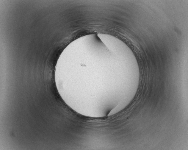 X0000116430417201001051149