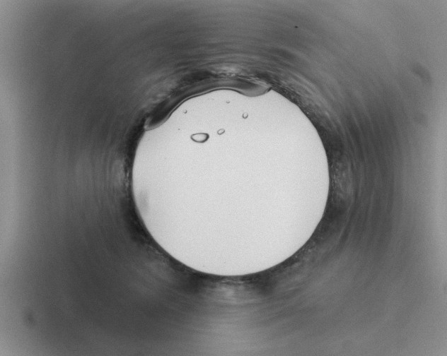 X0000116430420201001051149