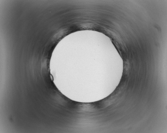 X0000116430428201001051149