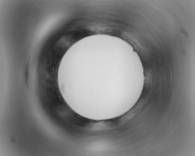X0000116430430201001051149