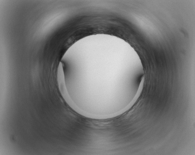 X0000116430431201001051149