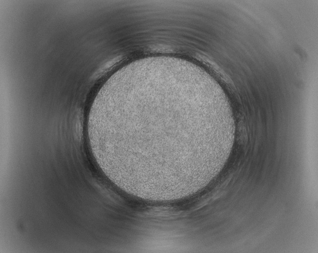 X0000116430446201001051148